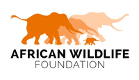 African Wildlife Foundation ( AWF)